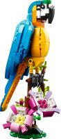 LEGO® Creator 3 v 1 31136 Exotický papoušek (2)