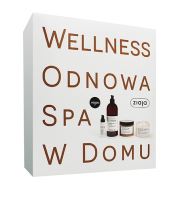 Ziaja Baltic Home Spa Wellness dárková sada pleťový krém lehká formule 50 ml + tělový peeling 300 ml + hydratační tělový krém 300 ml + sprchový gel 500 ml