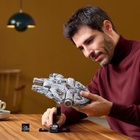 LEGO® Star Wars™ 75375 Millenium Falcon™ (1)