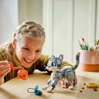 LEGO® Creator 3 v 1 31163 Hravá kočka (1)