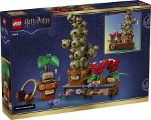 LEGO® Harry Potter™ 76474 Rostliny z hodiny bylinkářství v Bradavicích (1)