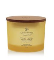 Chesapeake Bay Strength + Energy vonná svíčka se 3 knoty 312 g