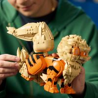 LEGO® Pokémon™ 72160 Arcanine (2)