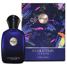 Zimaya Evolution parfémovaná voda pro muže 100 ml