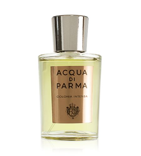 Acqua Di Parma Colonia Intensa kolínská voda pro muže