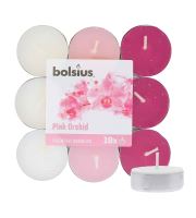 Bolsius Scented Tealights Orchid 4h čajová svíčka 18 ks
