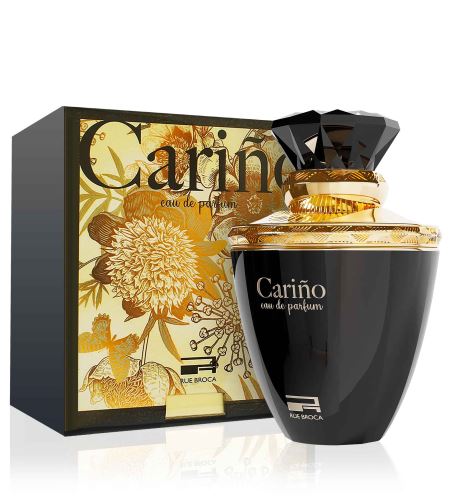 Rue Broca Carino Pour Homme parfémovaná voda pro muže 100 ml