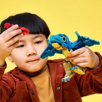 LEGO® Jurassic World 77977 Dinosauří mládě: Pteranodon (4)