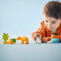 LEGO® DUPLO® 10442 Rodinky divokých zvířat: Tučňáci a lvi (1)