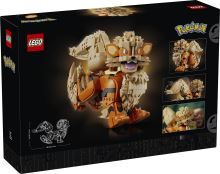 LEGO® Pokémon™ 72160 Arcanine (3)