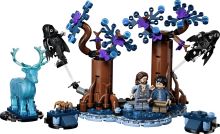 LEGO® Harry Potter™ 76475 Zapovězený les: Expecto Patronum (3)